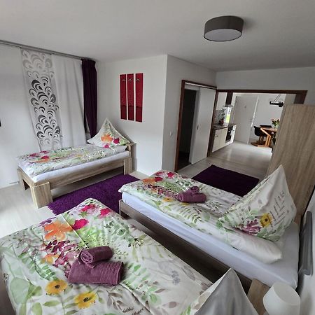 Apartamento La Casa Suciu Forchtenberg Exterior foto