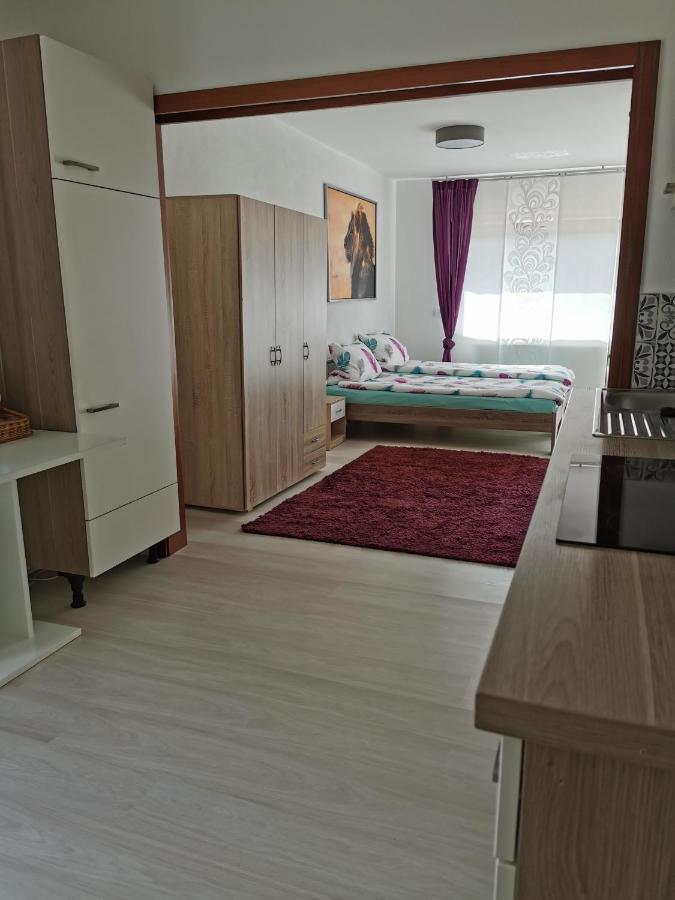Apartamento La Casa Suciu Forchtenberg Exterior foto